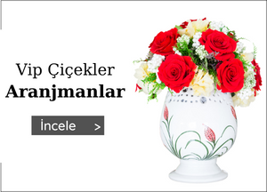 Vip Çiçekler